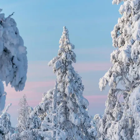 Polar Charm C By In Lapland Apartman *